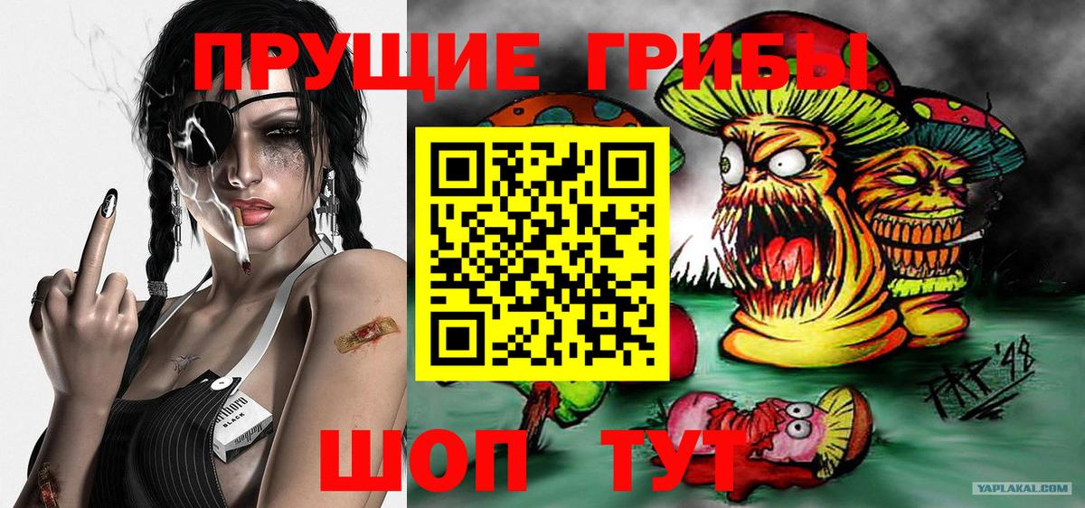 Корсаков  Псилоцибиновые грибы ЛСД  Вход с VPN 