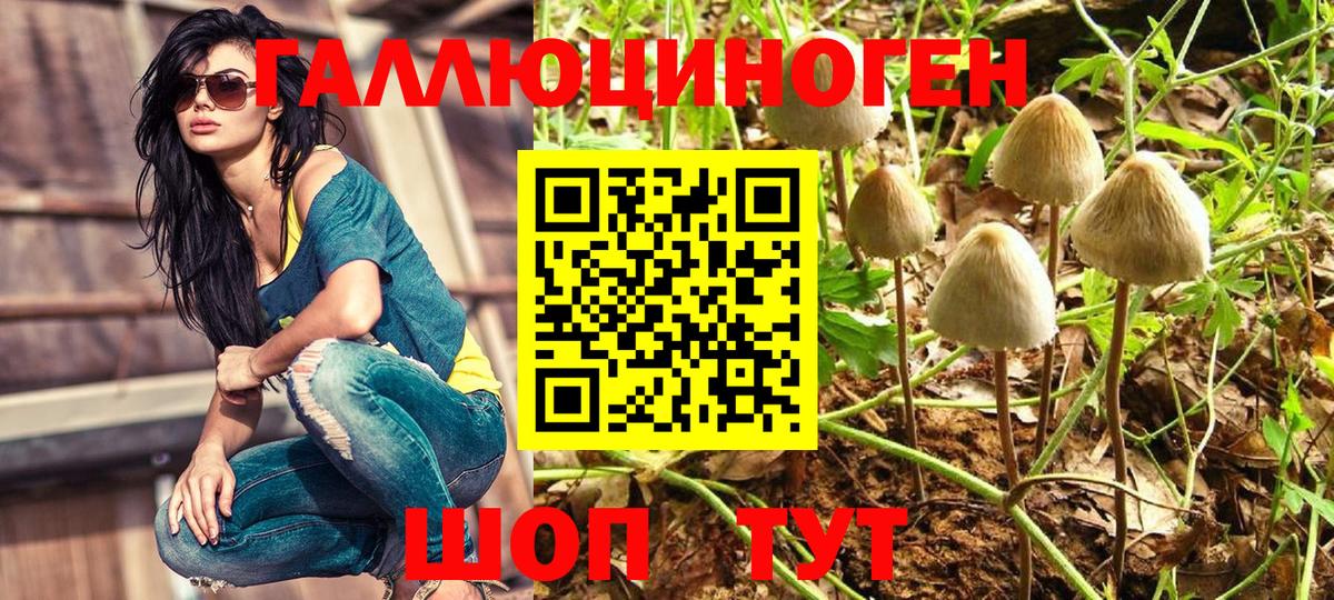 Псилоцибиновые грибы ЛСД Корсаков